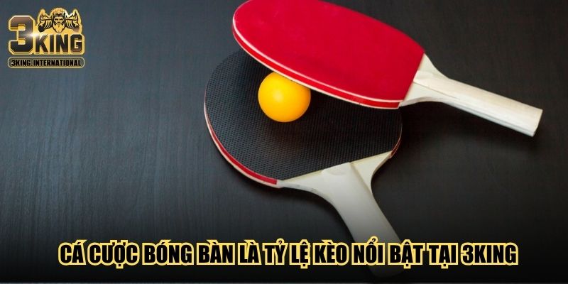 Cá cược bóng bàn là tỷ lệ kèo nổi bật tại 3King