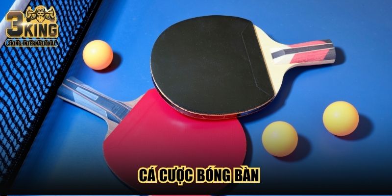 Cá Cược Bóng Bàn 3King - Chi Tiết Cách Soi Kèo Chuẩn A-Z