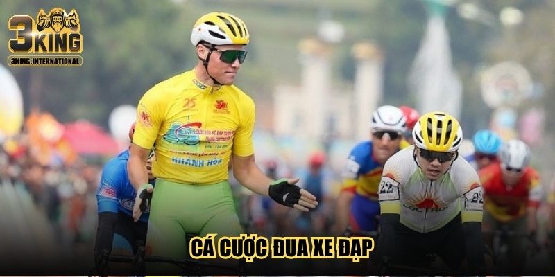 Cá Cược Đua Xe Đạp 3King - Bí Kíp Soi Kèo Tối Ưu Tỷ Lệ Thắng