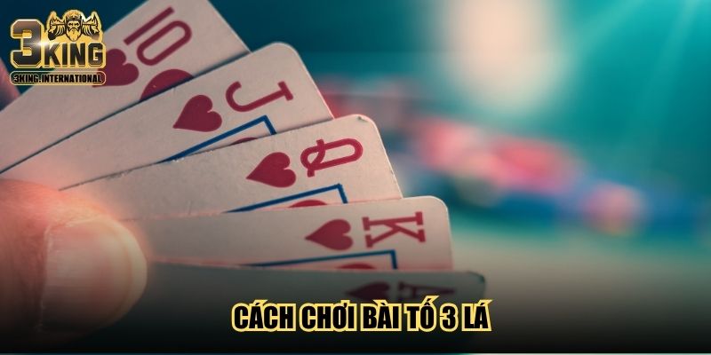 Cách Chơi Bài Tố 3 Lá Chi Tiết Dành Cho Hội Viên Mới Cách Chơi Bài Tố 3 Lá Chi Tiết Dành Cho Hội Viên Mới