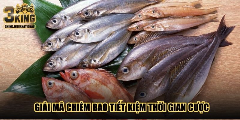 Giải mã chiêm bao tiết kiệm thời gian cược Giải mã chiêm bao tiết kiệm thời gian cược