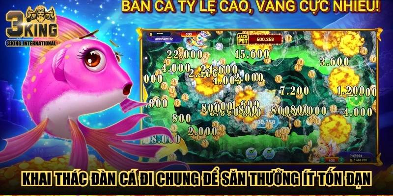 Khai thác đàn cá đi chung để săn thưởng ít tốn đạn Khai thác đàn cá đi chung để săn thưởng ít tốn đạn