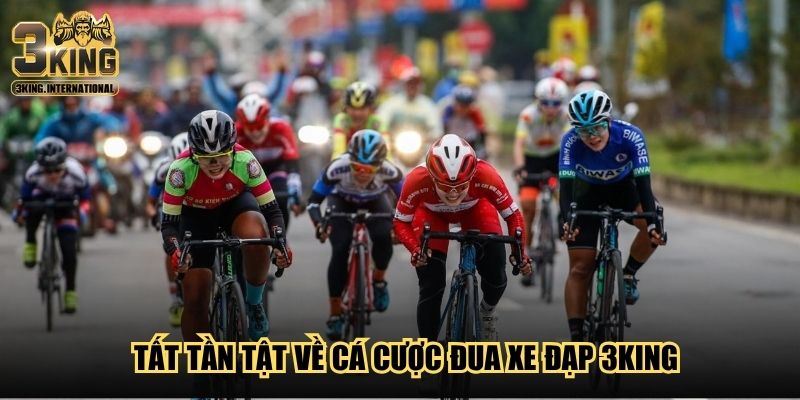 Tất tần tật về cá cược đua xe đạp 3King Tất tần tật về cá cược đua xe đạp 3King