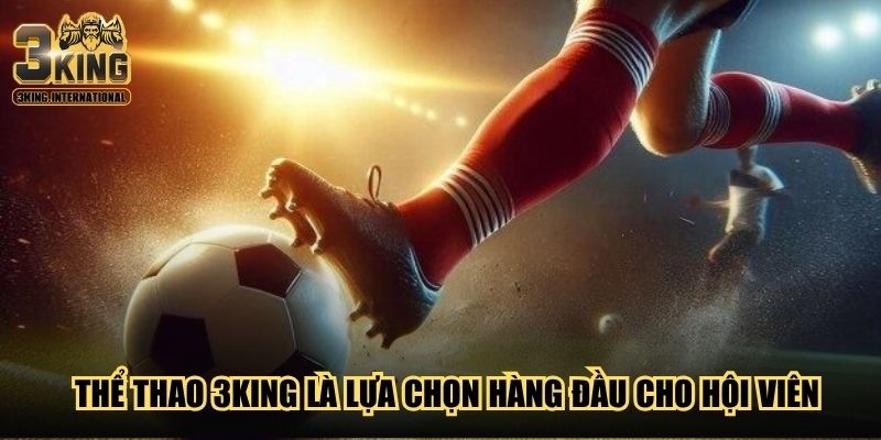 Thể thao 3King là lựa chọn hàng đầu cho hội viên Thể thao 3King là lựa chọn hàng đầu cho hội viên