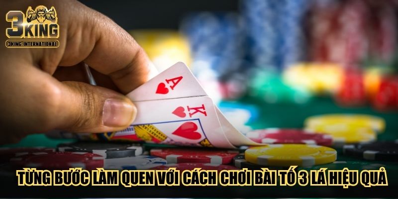 Từng bước làm quen với cách chơi bài tố 3 lá hiệu quả Từng bước làm quen với cách chơi bài tố 3 lá hiệu quả