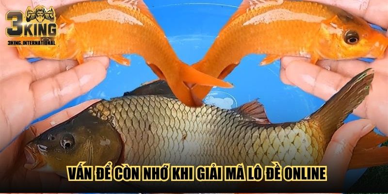 Vấn để còn nhớ khi giải mã lô đề online Vấn để còn nhớ khi giải mã lô đề online